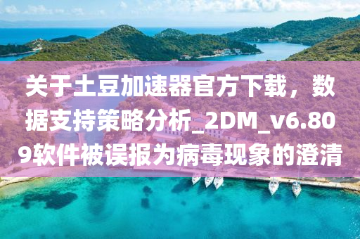 關于土豆加速器官方下載,數據支持策略分析_2DM_v6.809軟件被誤報為病毒現象的澄清